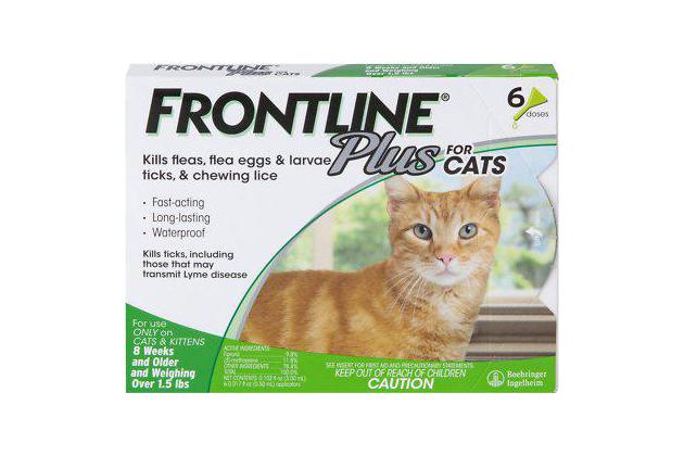 The Best Flea Treatments for Cats and 